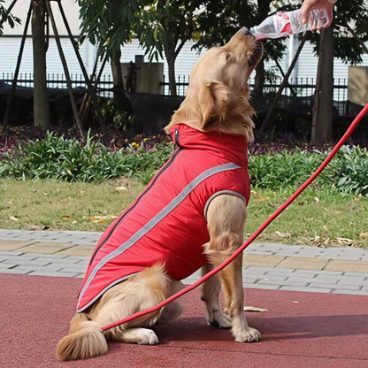 golden retriever qui porte le manteau pour chien polaire rouge essentiel