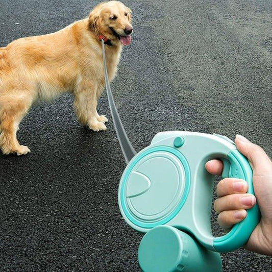 golden retriever qui se promene avec une laisse de chien retractable 3 en 1