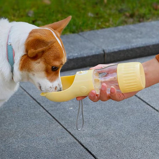 Gourde pour chien | 2 en 1 - Les chiens beaux