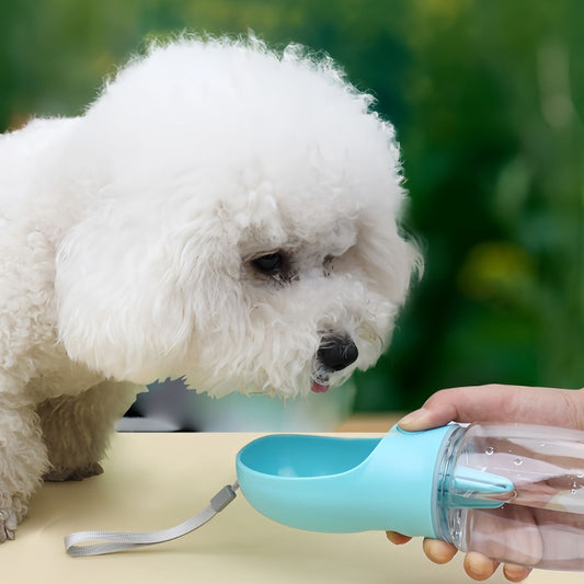 Gourde pour chien | 3 en 1 - Les chiens beaux