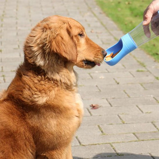 Gourde pour chien | Bouteille de voyage - Les chiens beaux