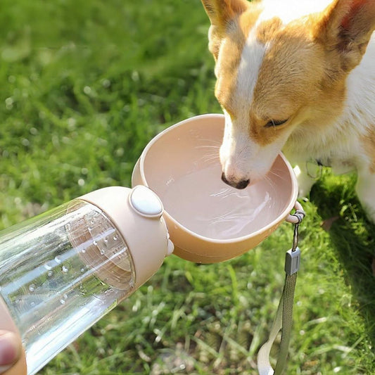 Gourde pour chien | Gobelet multifonction - Les chiens beaux