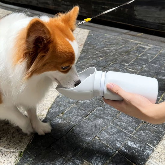 GOURDE POUR CHIEN | SILICONE PLIANTE - Les chiens beaux