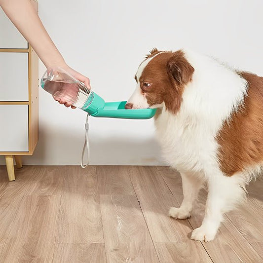 Gourdes pour chien | Bol anti - fuite - Les chiens beaux
