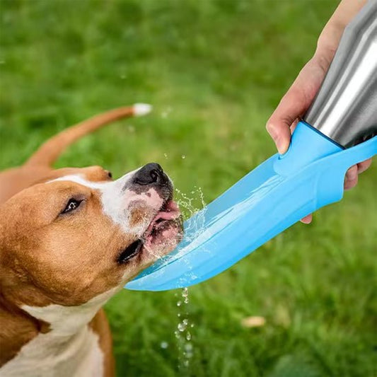 Gourdes pour chiens | Acier inox - Les chiens beaux