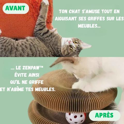 Griffoir pour chat | ZenPaw™