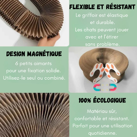 Griffoir pour chat | ZenPaw™