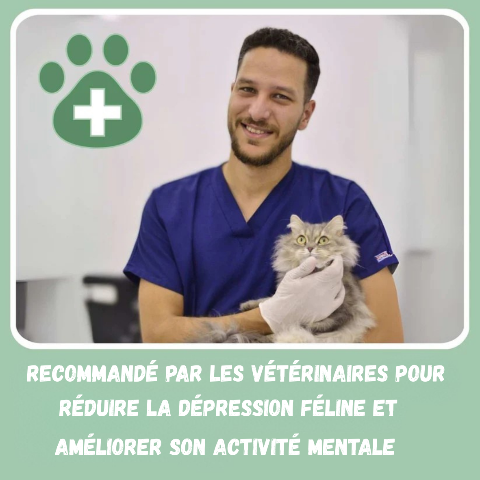 Griffoir pour chat | ZenPaw™