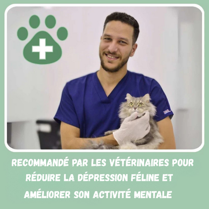 Griffoir pour chat | ZenPaw™