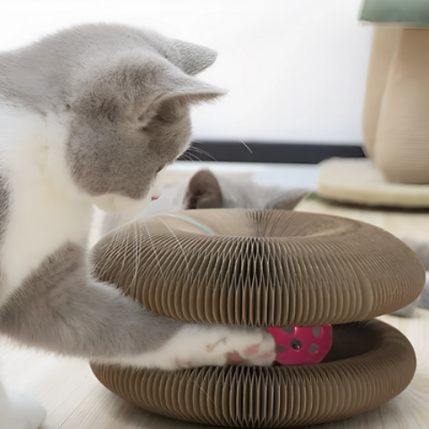 Griffoir pour chat | ZenPaw™