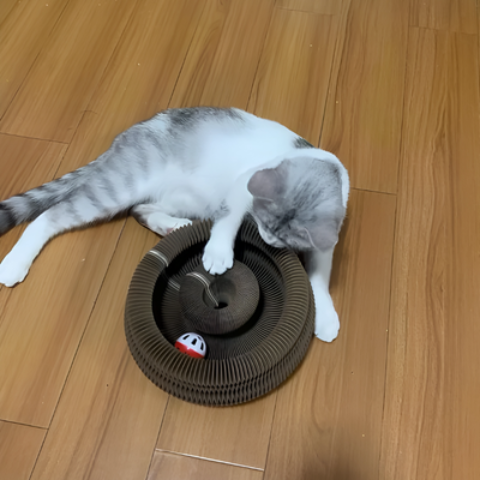 Griffoir pour chat | ZenPaw™
