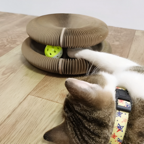 Griffoir pour chat | ZenPaw™
