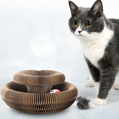 Griffoir pour chat | ZenPaw™