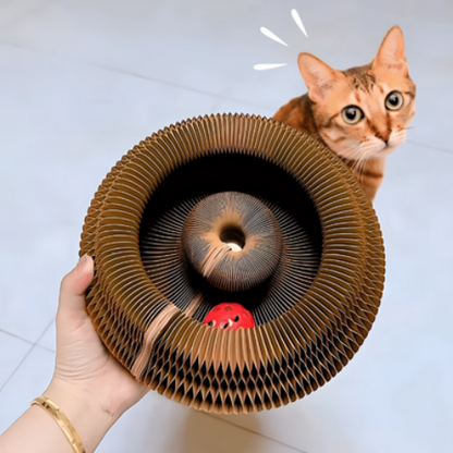 Griffoir pour chat | ZenPaw™