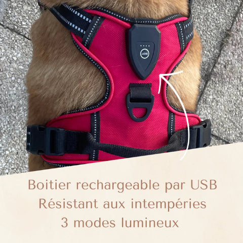 harnais-LED-avec-USB