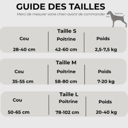 harnais anti traction chien impermeable guide des tailles