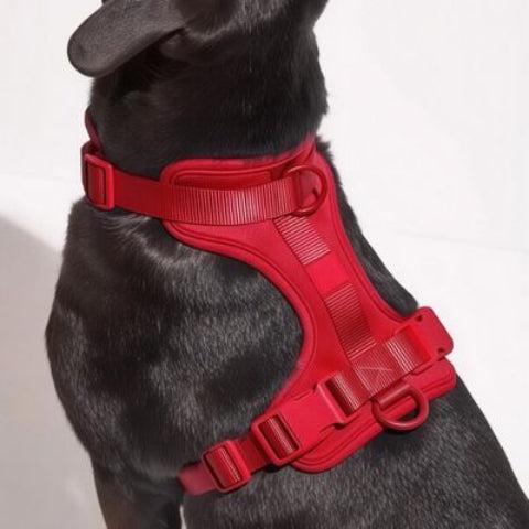 harnais anti traction chien rouge de qualite