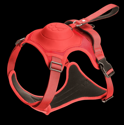 HARNAIS ANTI TRACTION CHIEN | TOUT - EN - UN - Les chiens beaux