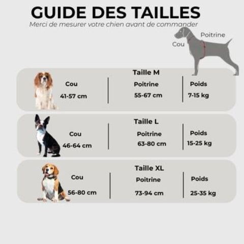 harnais anti traction chien tout en un Guide des tailles