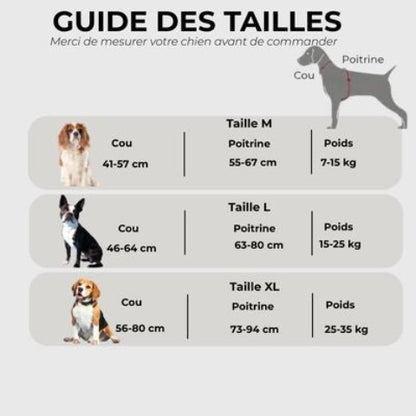 harnais anti traction chien tout en un Guide des tailles
