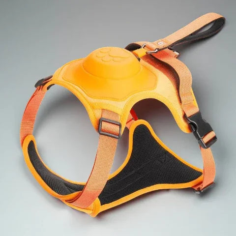 harnais anti traction chien tout en un orange