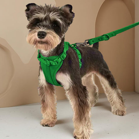 harnais anti traction chien vert