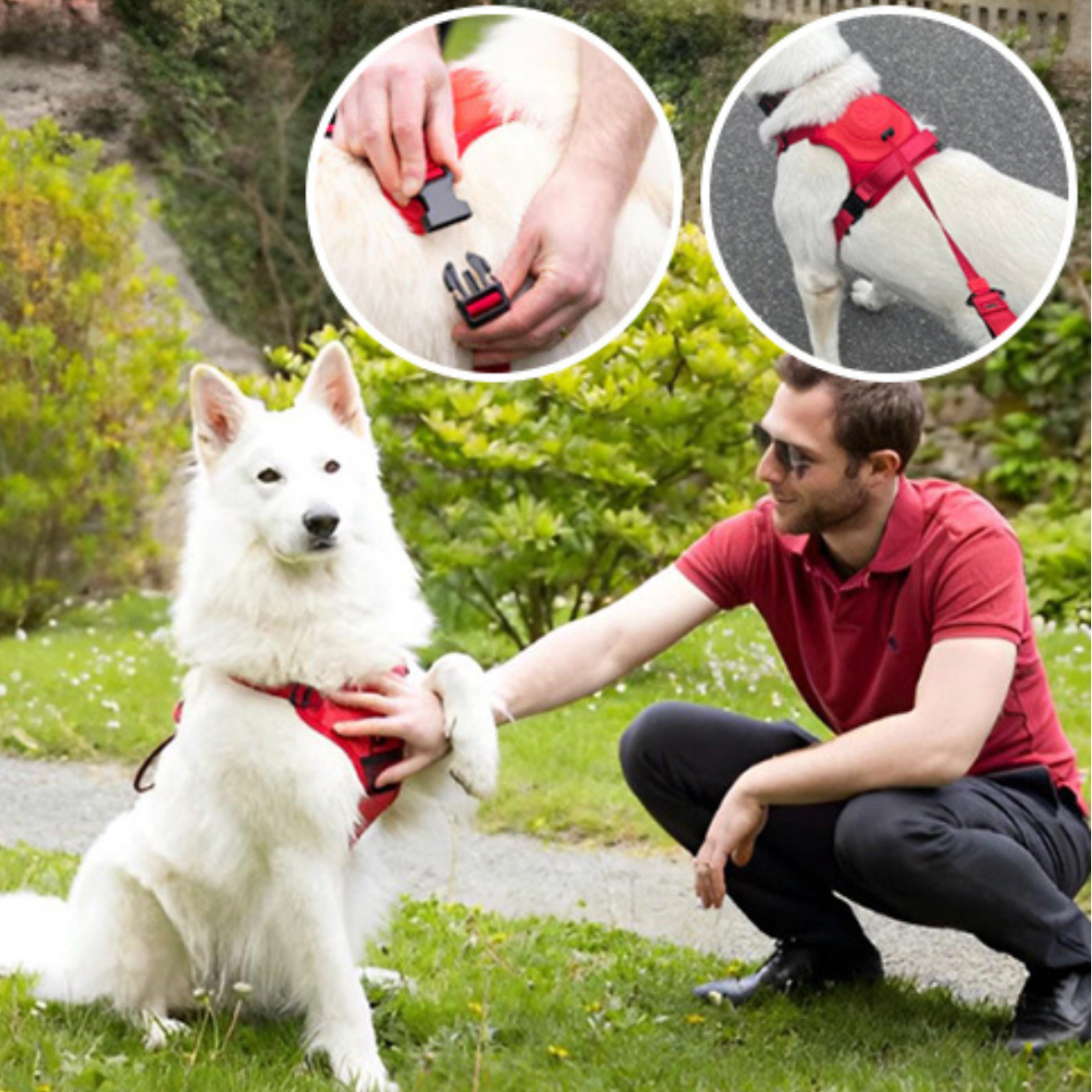 Harnais anti-traction chien - HappyPaw