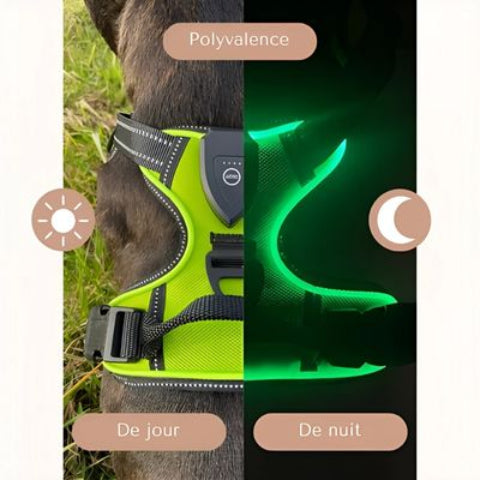 harnais chien LED lumineux vert polyvalent