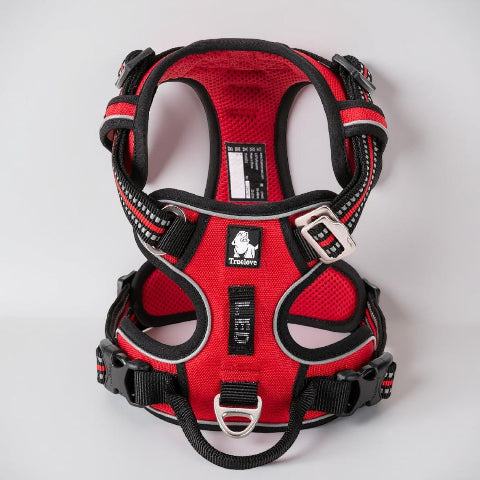 harnais chien Truelove rouge