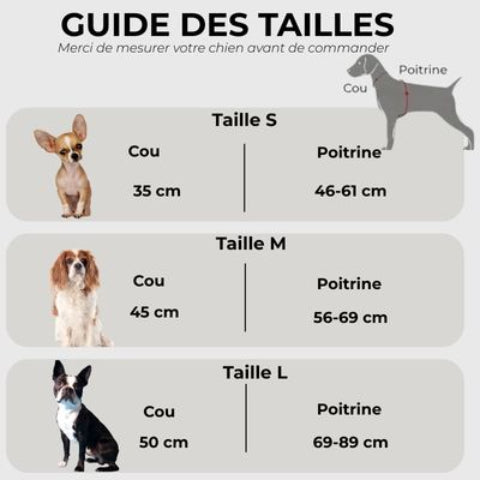 harnais chien anti traction Gilet Guide des tailles