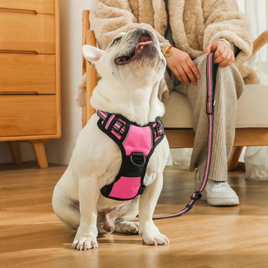 HARNAIS CHIEN ANTI TRACTION | VESTE RÉGLABLE - Les chiens beaux