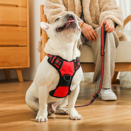 HARNAIS CHIEN ANTI TRACTION | VESTE RÉGLABLE - Les chiens beaux