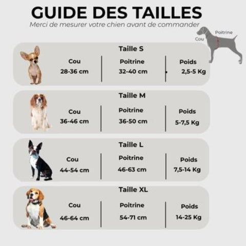 harnais chien avec poignee SFP guide des tailles