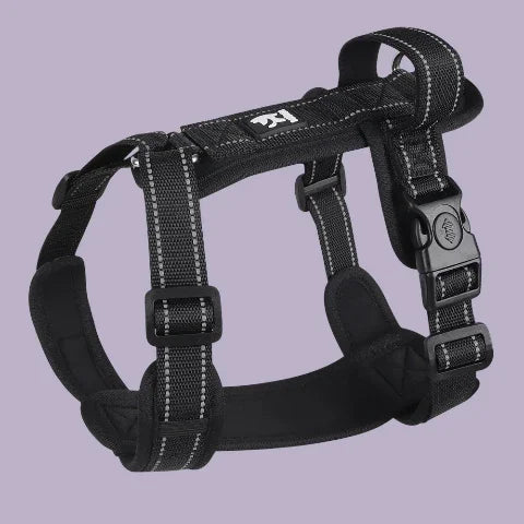 harnais chien avec poignee SFP noir robuste