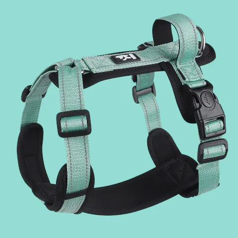 harnais chien avec poignee SFP vert joli