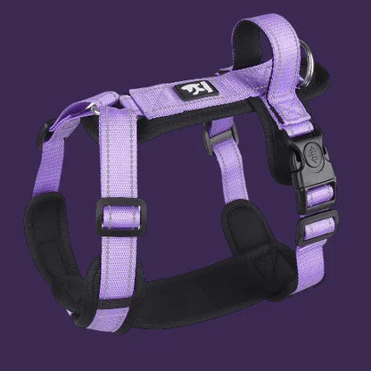 harnais chien avec poignee SFP violet innovant