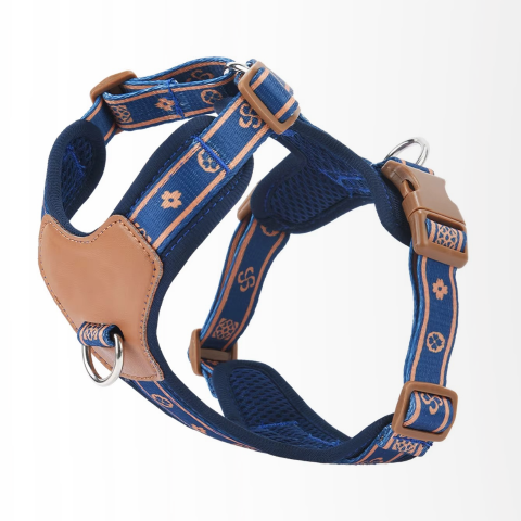 harnais chien bleu super joli