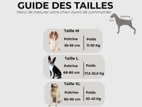 harnais chien de service Guide des tailles