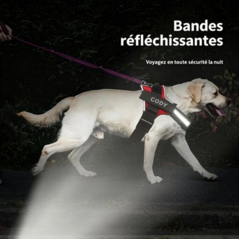 harnais chien de service avec bandes reflechissantes