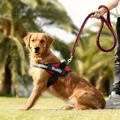 harnais chien de service rouge de qualite