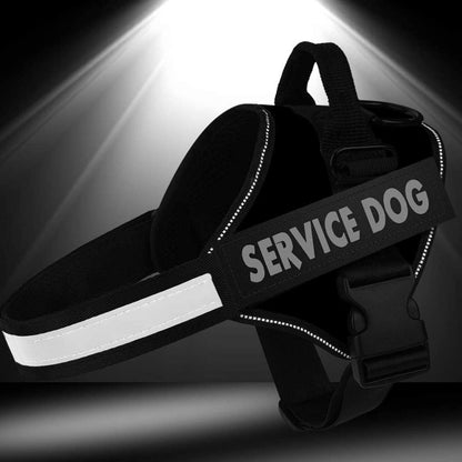 HARNAIS CHIEN DE SERVICE | SERVIDOG - Les chiens beaux