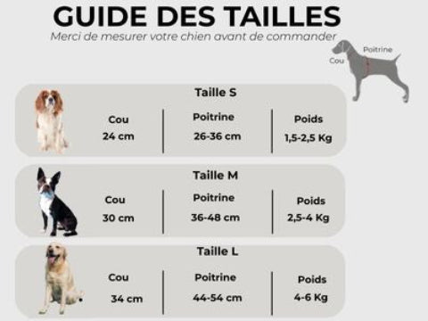 harnais chien en maille Guide des tailles