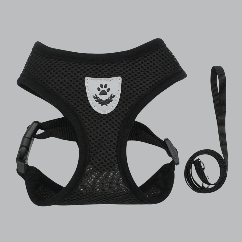 HARNAIS CHIEN EN MAILLE | AEROMESH - Les chiens beaux
