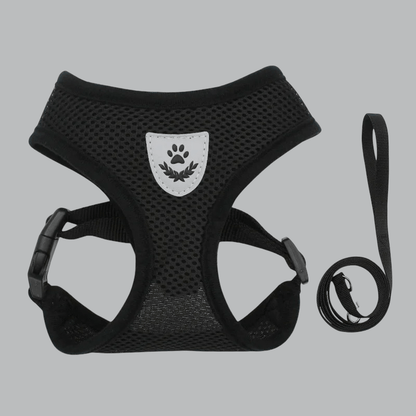 HARNAIS CHIEN EN MAILLE | AEROMESH - Les chiens beaux