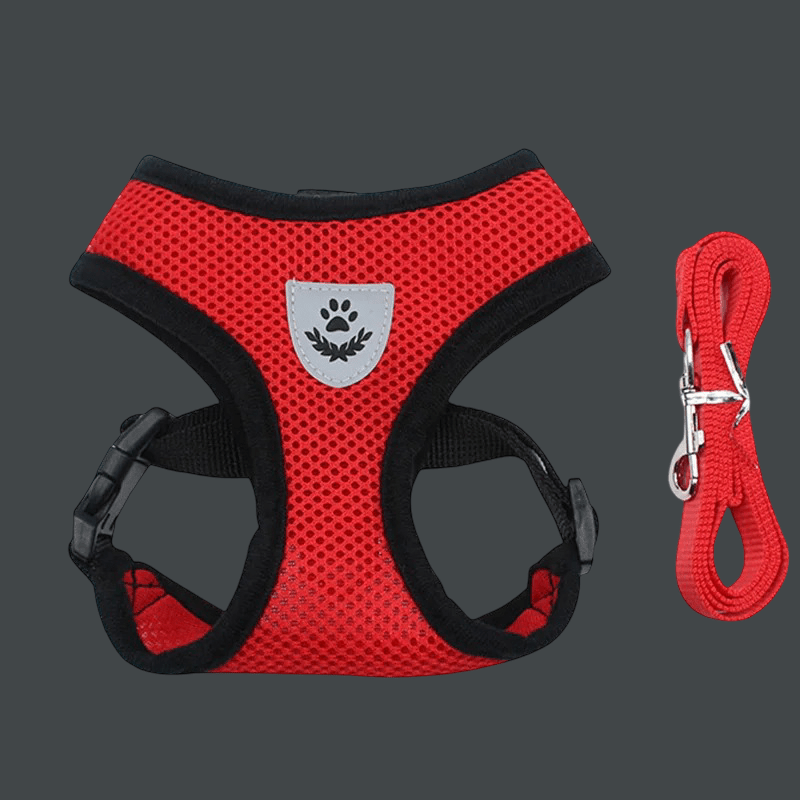 HARNAIS CHIEN EN MAILLE | AEROMESH - Les chiens beaux