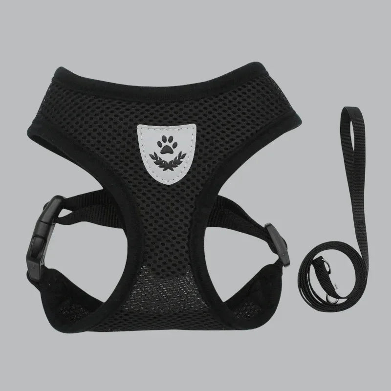 harnais chien en maille noir