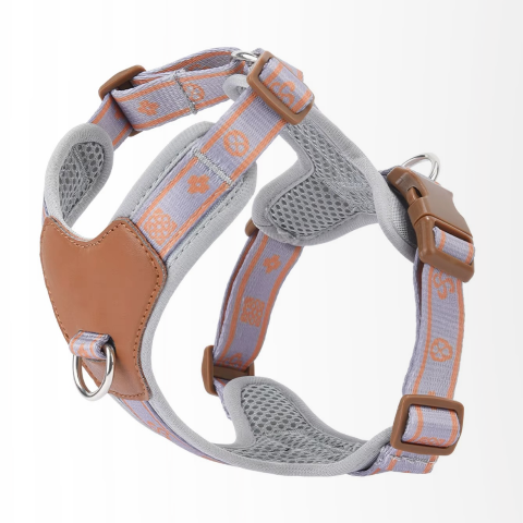 harnais chien gris chic