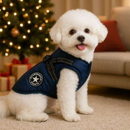 harnais chien hiver bleu marine chaud