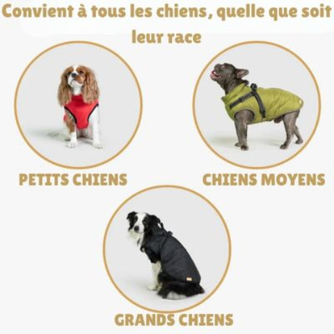harnais chien hiver description des tailles