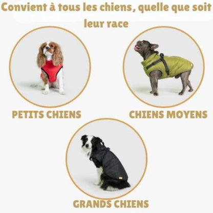 harnais chien hiver description des tailles